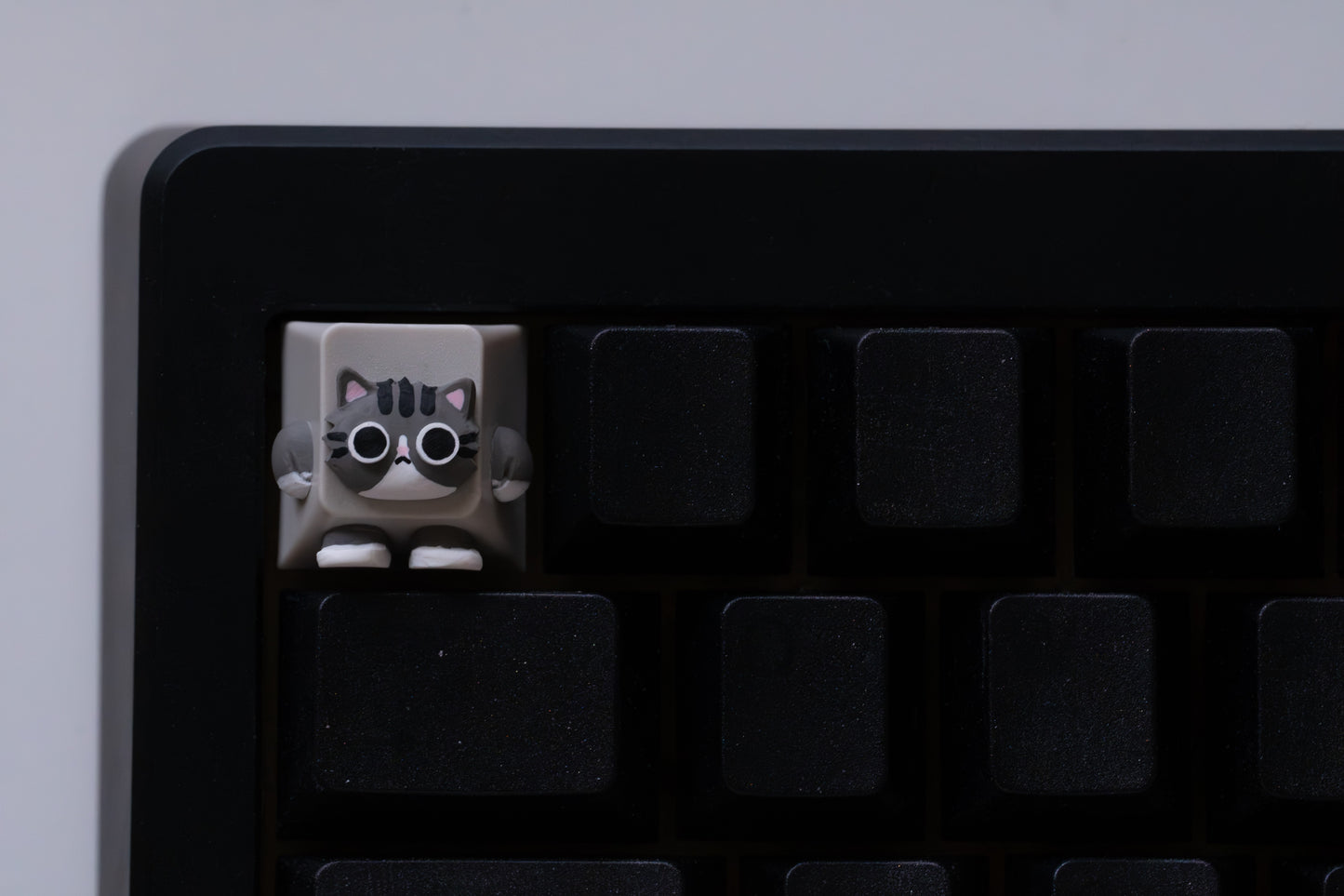Keycat