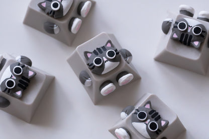 Keycat