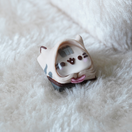 Pusheen Miru