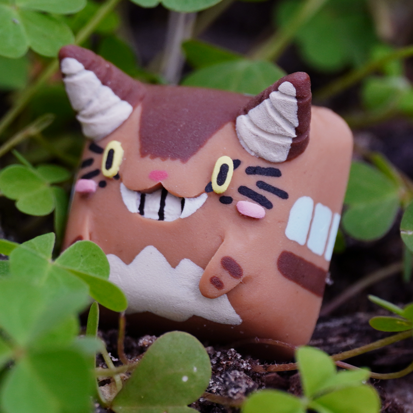 Catbus